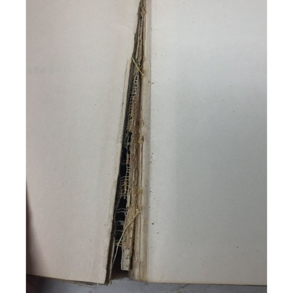 The Lone Star Ranger by Zane Grey Hardcover Book - Picture 6 of 16